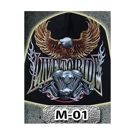 M01